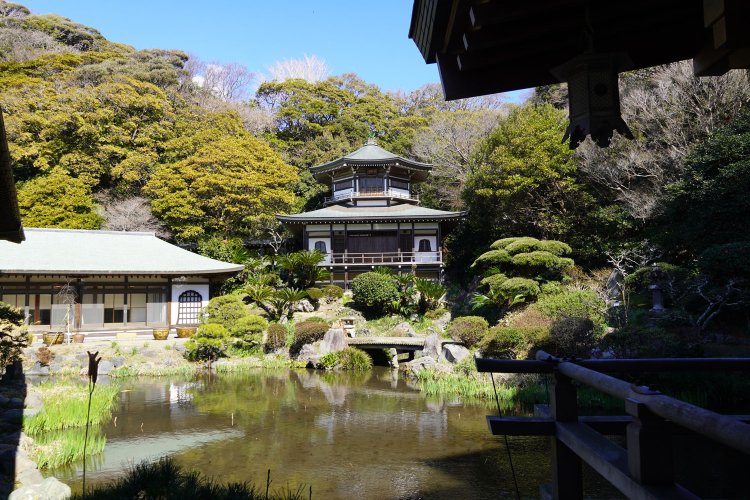 記主庭園の池畔に立つ大聖閣が印象的。夏はハスの花も咲く。
