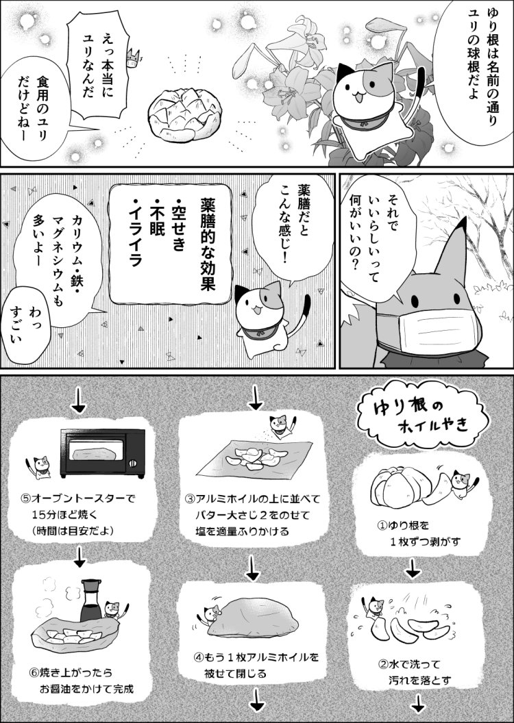 24話目02