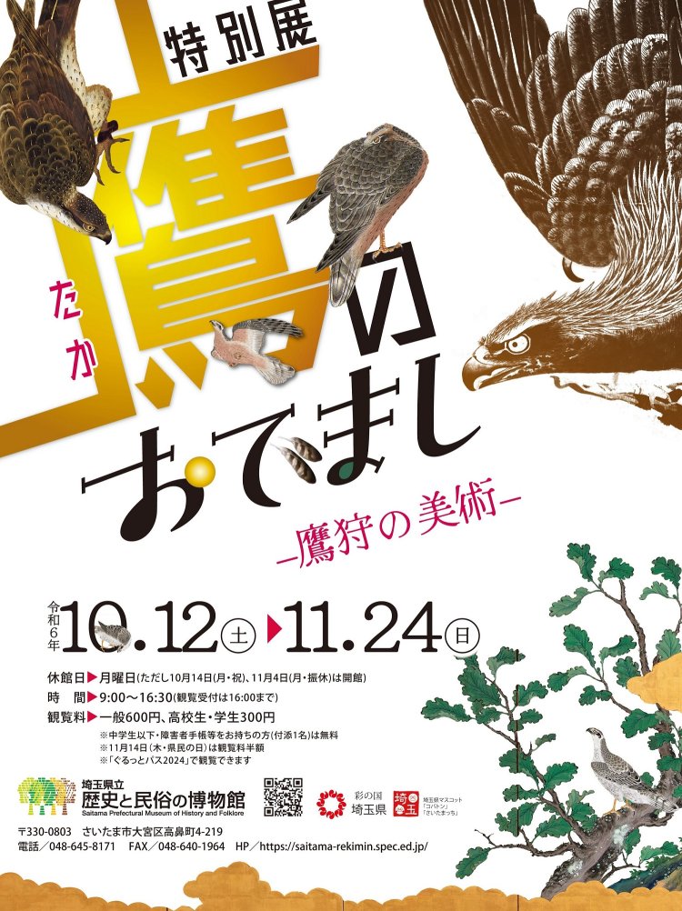 特別展「鷹のおでまし」チラシ（表）2024