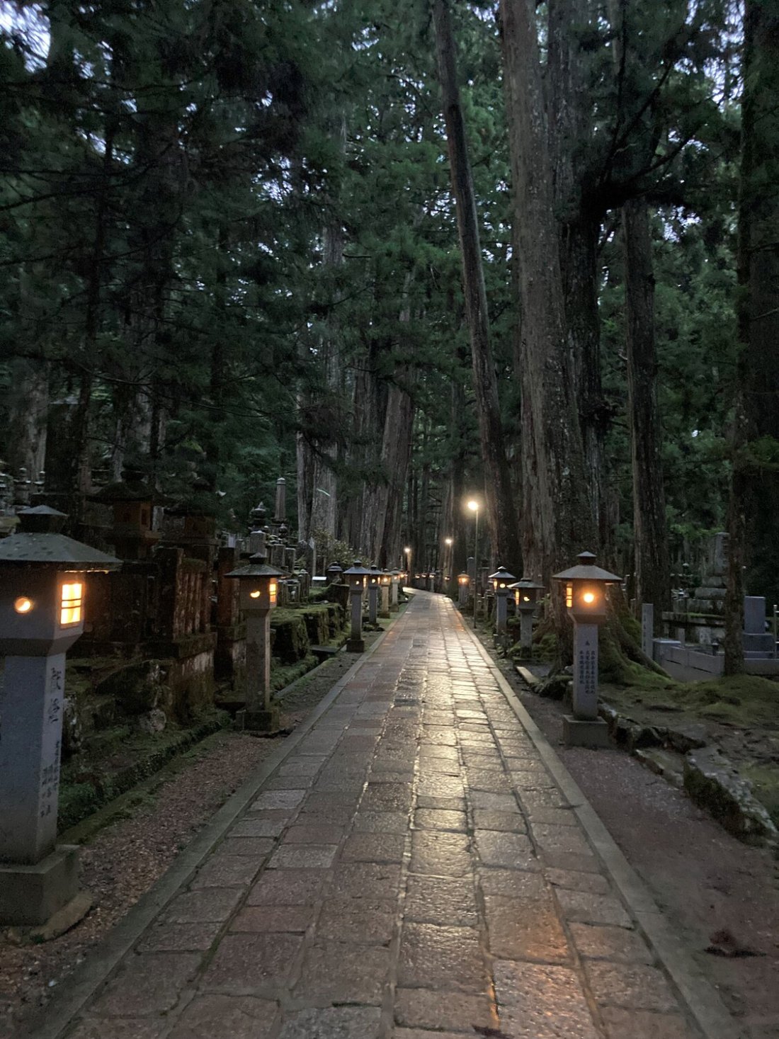 世界遺産登録20周年の高野山へ。聖と俗の狭間で迷いつつ、山上の聖地で得るもの