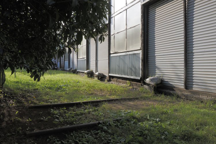 トタンの壁面部分からレールが顔をのぞかせていた。左手にはかつてトラバーサがあって、そこへ資材や車両などを搬入していたのだろう（2024年10月撮影）。