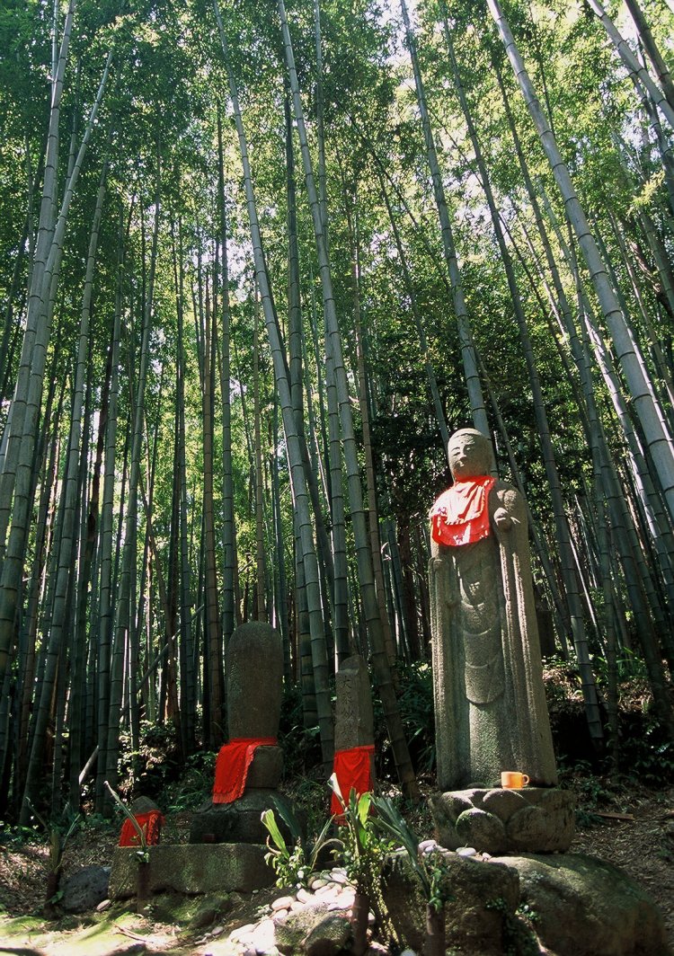 馬越峠と並ぶ伊勢路の名所。日中は木もれ日が差す明るい峠で、比較的距離が短く初心者でも安心。妖怪と間違えられて鉄砲傷を付けられたお地蔵様が出迎えてくれる。