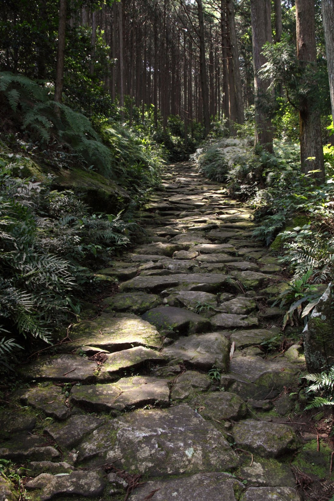 祝・世界遺産登録20周年。伊勢神宮と熊野三山をつなぐ聖なる道、熊野古道伊勢路をゆく