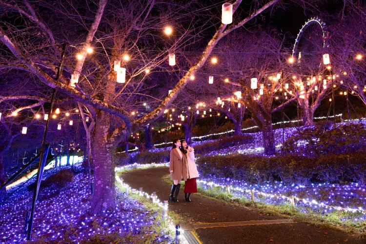 画像提供＝さがみ湖MORI MORI。