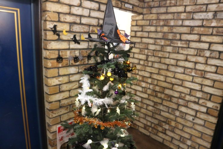 店の片隅でお客さんを癒やしてくれるツリー。