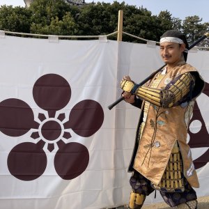 戦国大名たちの起源をひもとく！ 源氏・平氏・藤原氏と戦国武将の関係