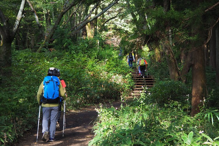 高尾山から小仏城山へつづく道。