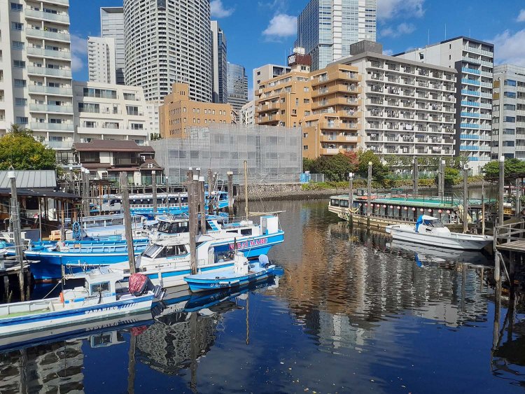 かつては漁場だった品川浦。今は旧東海道歩きの名スポットだ。ちなみに『男はつらいよ 夜霧にむせぶ寅次郎』 では、バイク乗りのトニー(演：渡瀬恒彦)のねぐらも、ここの設定。