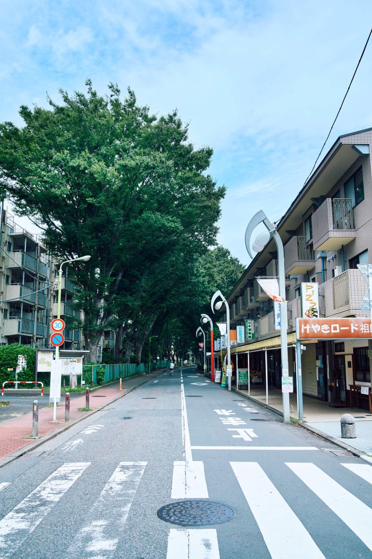 これが人呼んで「祖師谷のアビイ・ロード」だ。