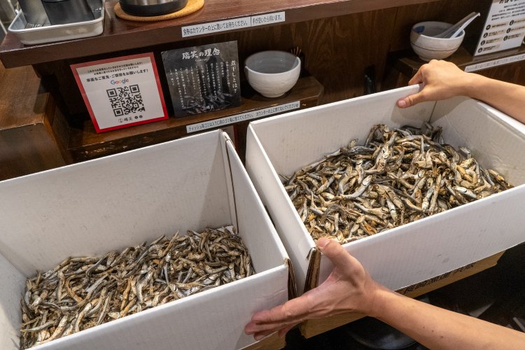 長崎産の煮干し2種類。右の方が大きく、左は小さめ。どちらも丸ごと使う。