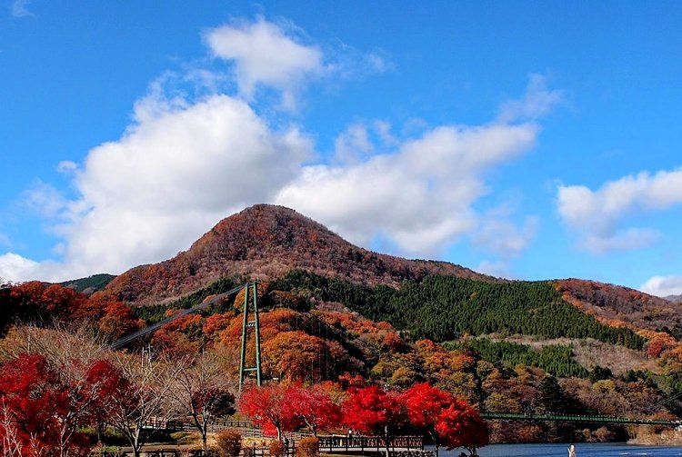 おすすめの紅葉スポット