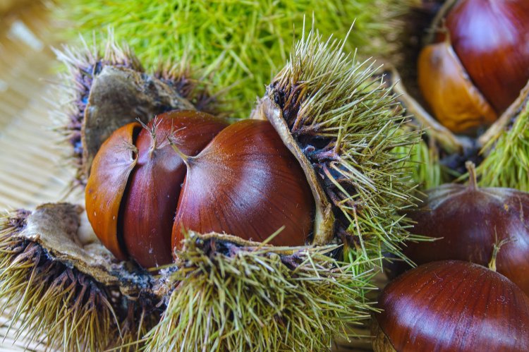 食欲の秋、読書の秋、芸術の秋、スポーツの秋……秋満喫エピソード