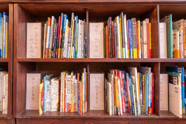 オリジナル分類の児童書棚。