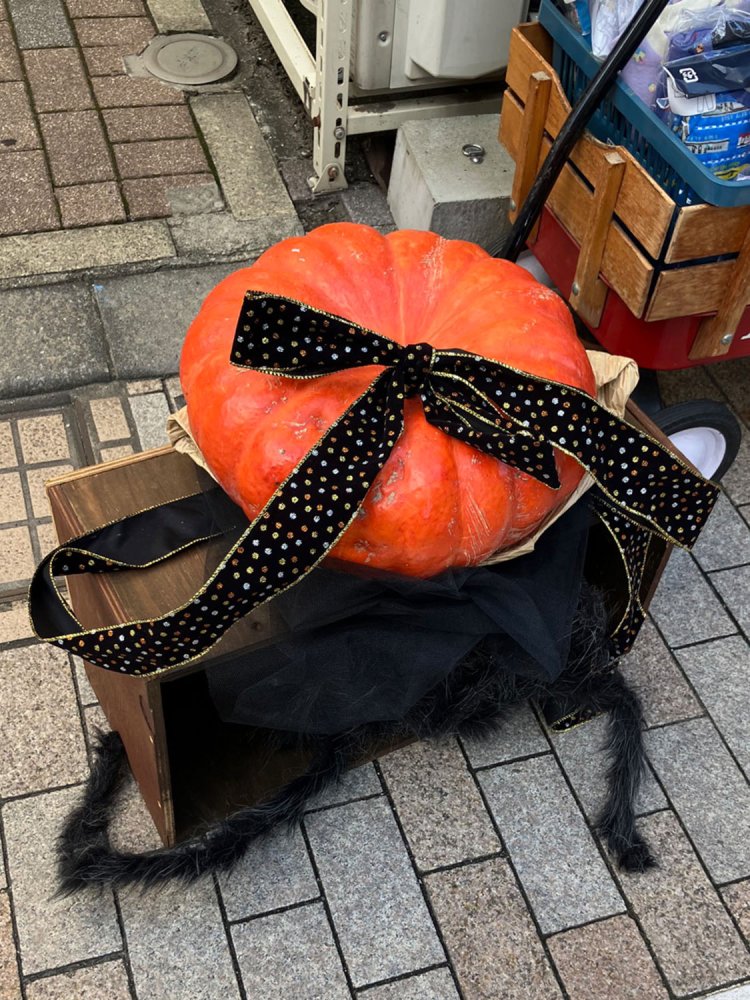 店先に突如置かれたカボチャ。周囲の黒いモールはクモのイメージだろうか（東京都・戸越銀座）。