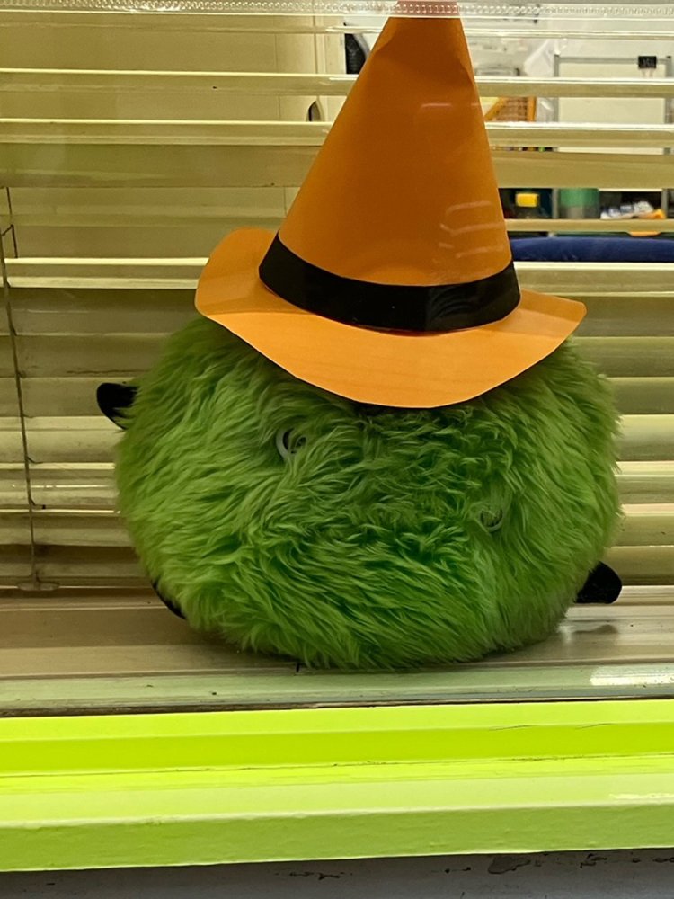 不動産店のウインドーに飾られたスーモ。帽子はおそらく手作りで、なかなか凝っている（東京都・つつじヶ丘）。