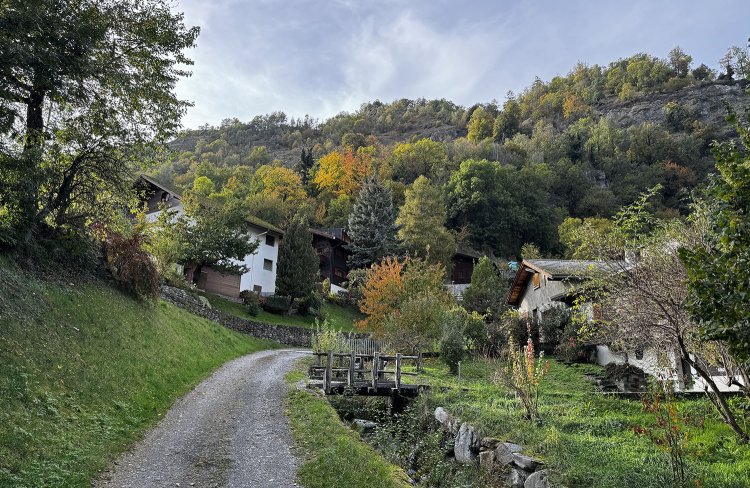 小川沿いを歩いて森の中へ。