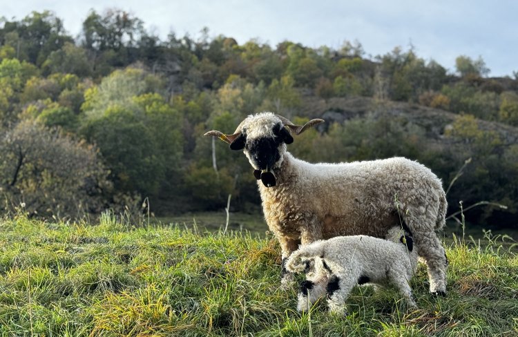 かわいい♡　こっちを見てくれた。