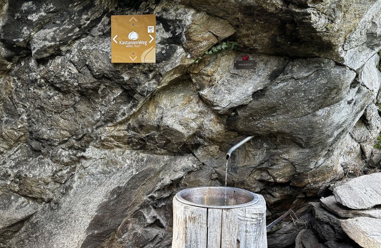 途中には水場もある。