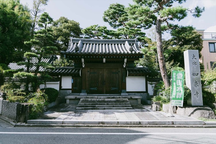 駅から10分ほど歩くと、きれいに整備された立派なお寺が！　養玉院如来寺だ。