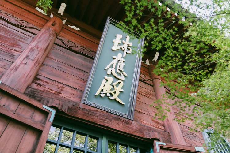 宝暦10年（1760）建立の如来堂そのものも素敵。境内にはもみじが植えられているので、秋の紅葉と共に見に行くのも絶対良い！