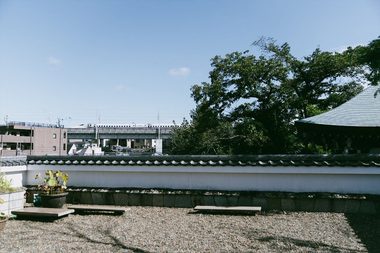 境内にある無量光殿の屋上からは、頻繁に行き交う新幹線が見える。なかなかいい景色で気に入った！