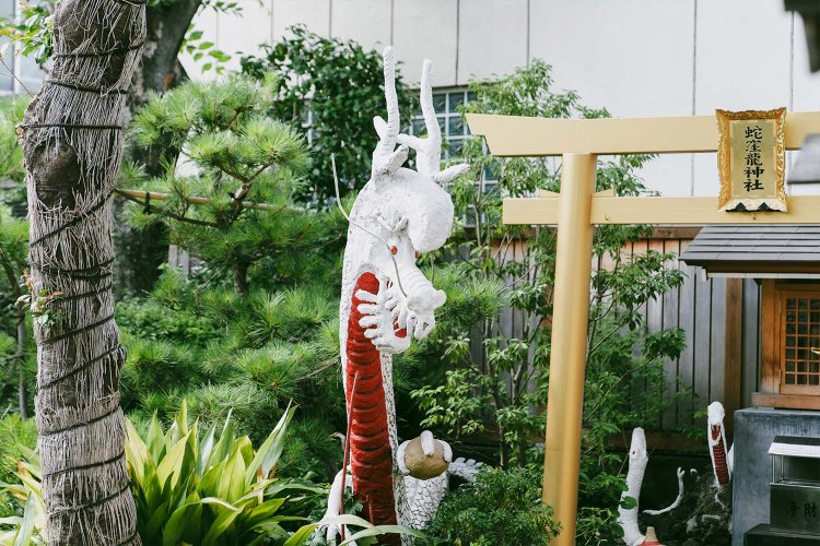 目が点でかわいい白龍。