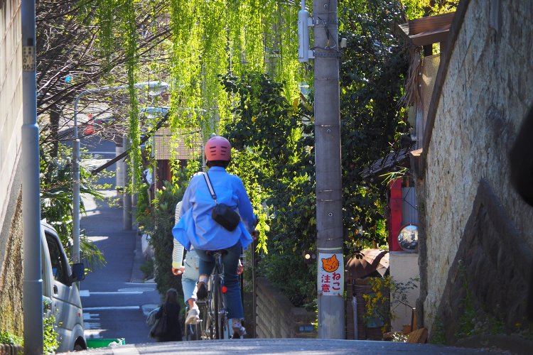こちらは三浦坂。道の先が見えないほどの急坂！