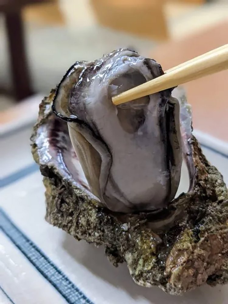 【酒場ナビ】新潟「喜ぐち」