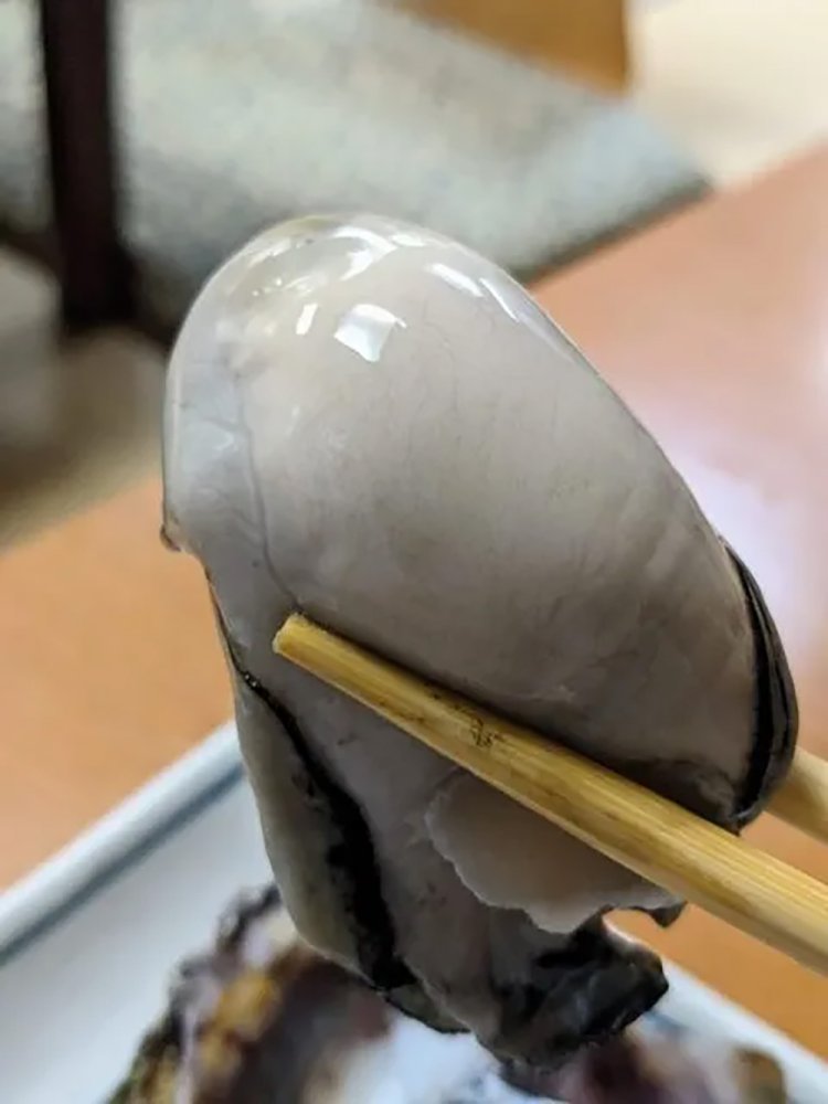 【酒場ナビ】新潟「喜ぐち」