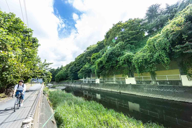 町田市南端から相模湾にまでのびる境川。自然も多い町田の象徴でもある。
