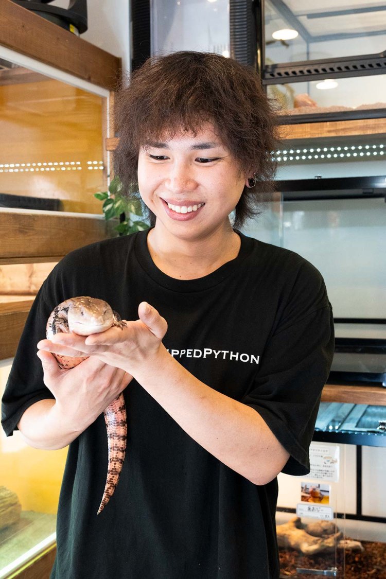 店内では生体や餌の販売も。岩橋さんの手には14年育てているあおじー（メラウケアオジタトカゲ）。