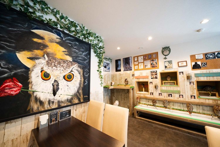フクロウの絵が印象的な店内。飲み物は10種類あるほか、別料金でアルコールも。