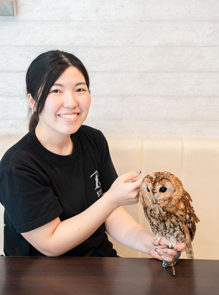 店員さんの手に乗るのは、一番人気のモリフクロウのモリンちゃん。