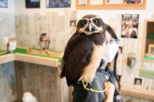 【散歩の達人】動物まみれ