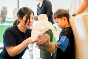 【散歩の達人】動物まみれ