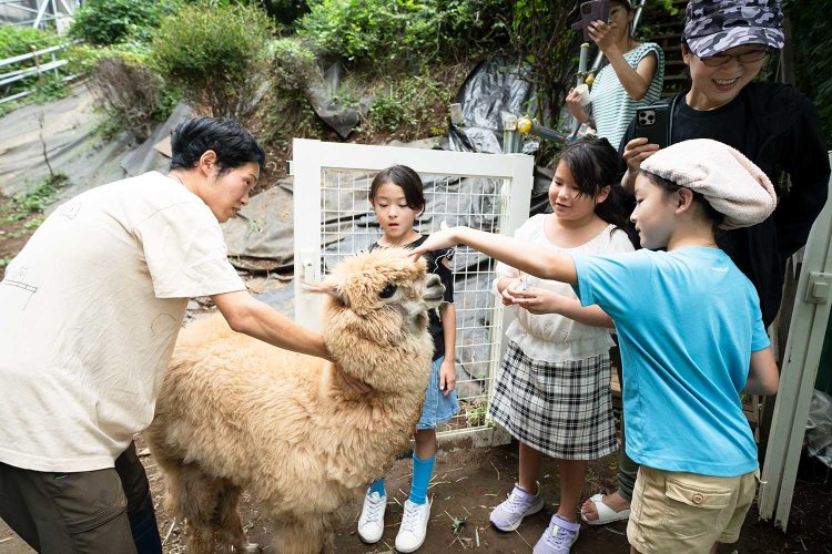 子供たちになでられるハルくん。
