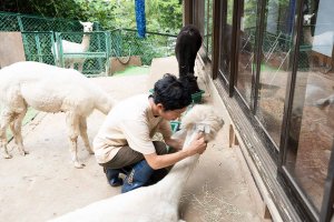 【散歩の達人】動物まみれ