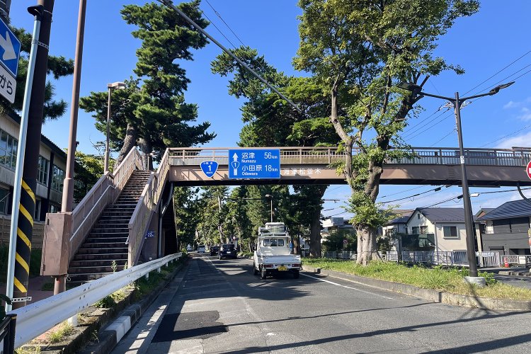 今も残る松並木はなんとも風情あり。