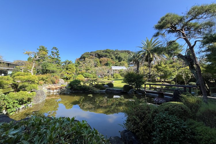 旧吉田茂邸と旧島崎藤村邸は一般公開されている。写真は旧吉田茂邸の庭園。なお、2024年11月23日から「明治記念大磯邸園」内の旧大隈重信別邸と陸奥宗光別邸跡が公開予定。