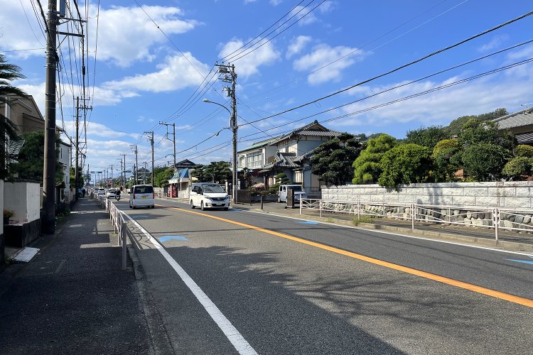 心なしか、松を植えたお庭のある立派な邸宅が多い。
