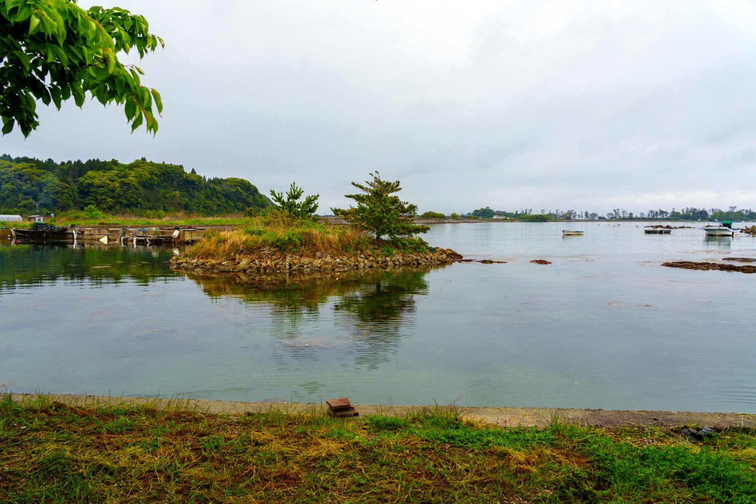 小屋から眺める七尾湾の穏やかな海。地震ではここにも津波が押し寄せてきた。