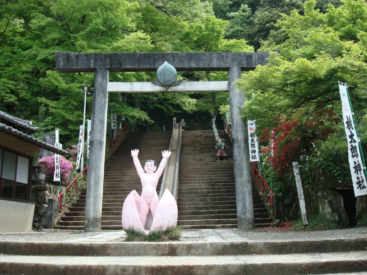 写真＝犬山市観光協会