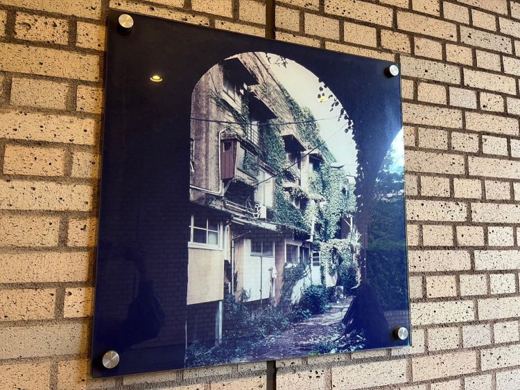 歴史を見ることができる。