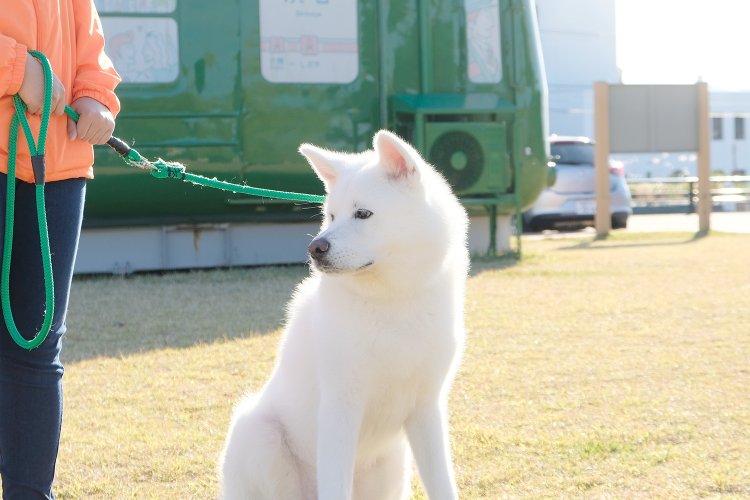 毎日グングン成長している想空。会いに行く度に大きくなった姿が見られるかも？
