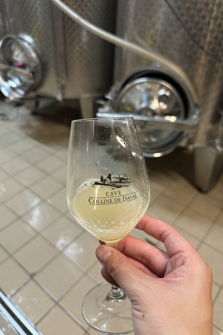 発酵前のまだアルコールになっていない「ムー」と呼ばれる状態のものを飲ませてもらった。これが販売されていたら絶対買う！というおいしさ。