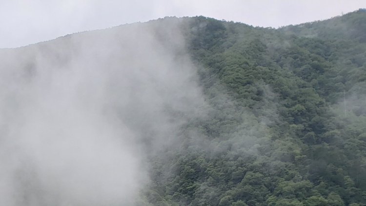霧と雲との違いは地面にくっついているかいないか。