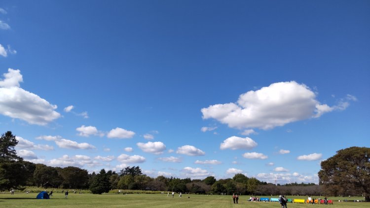 わたのような雲。雨を降らせることはない好天積雲。