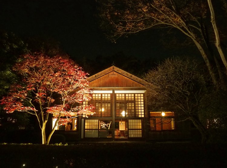 あたたかな明かりが復元建造物に灯る！ 夜間特別開園「紅葉とたてもののライトアップ」が11月23・24日に『江戸東京たてもの園』で開催