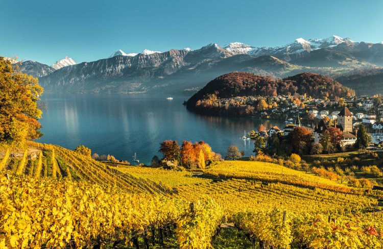 城の裏を少し上れば、うっとりの景色。