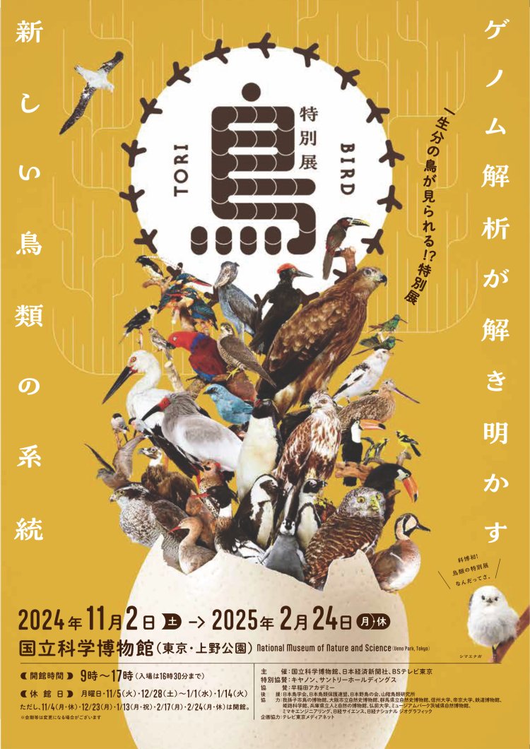 鳥展_本チラシ画像